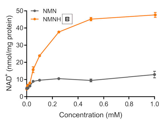 NMNH (amorph) vs. NMN